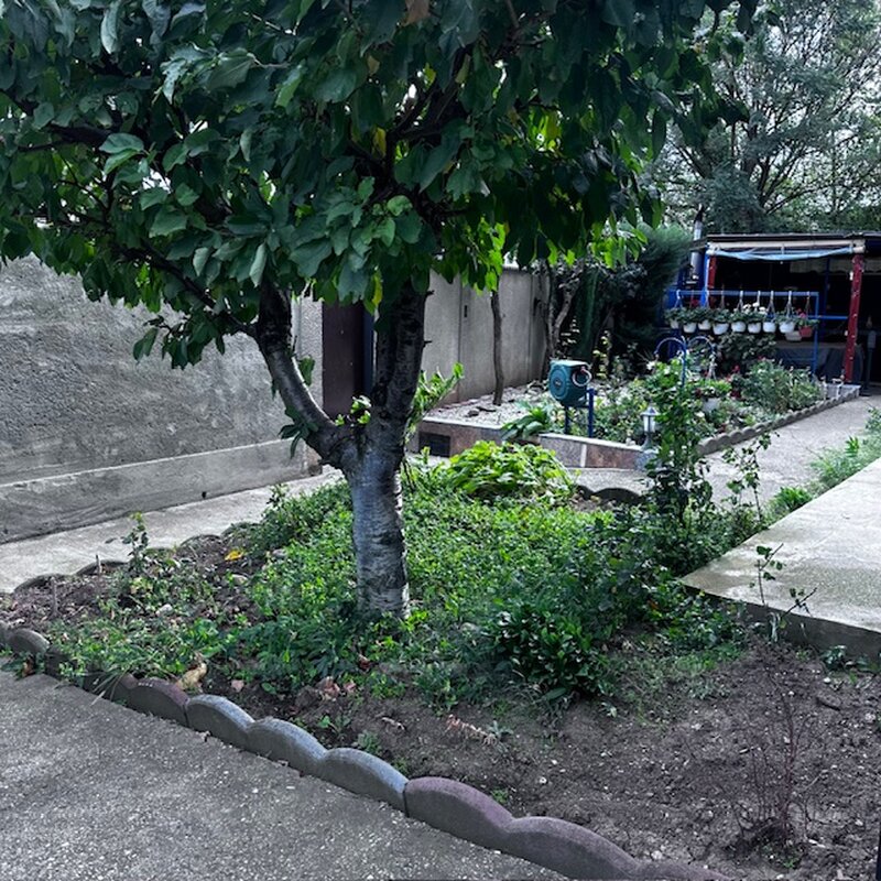 Aleea Lacul Morii, Militari,